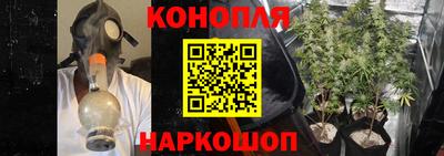 гидра Лесосибирск